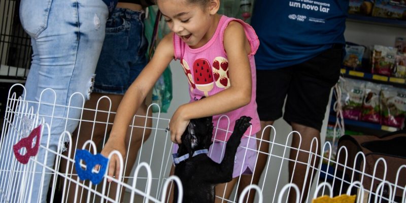 aa7d7e7d-b556-4b77-b3c7-94694fcd3200