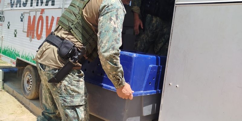 d80bd459-984c-4a48-86cb-de5cfcbf40dc