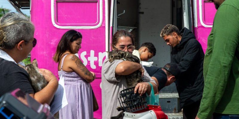 da7cb151-66df-435e-9d6a-6804e445ccf3