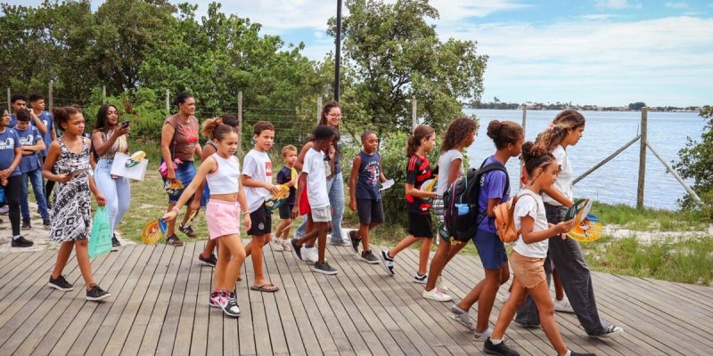 e1f12b0b-da86-4e28-a91f-2822256fcc41