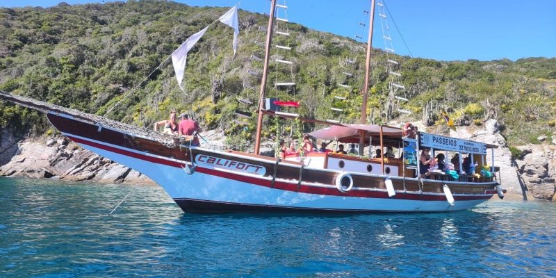 ff9e1128-df1d-4b98-aeb6-01a88af9c49e