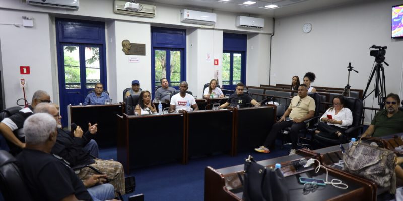 reunião de carnaval (10)